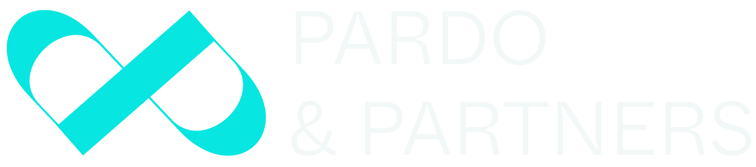 Pardo and Partners Logo